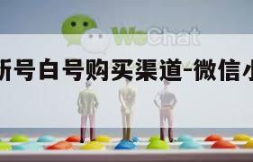 微信小号新号白号购买渠道-微信小白号在哪买